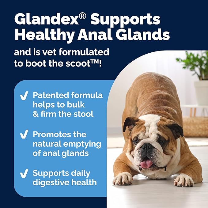 Vetnique Labs Glandex Anal Gland Soft Chew Treats with Pumpkin for Dogs Digestive Enzymes, Probiotics Fiber Supplement for Dogs Boot The Scoot (Bacon/Pork Chews, 30 Count)