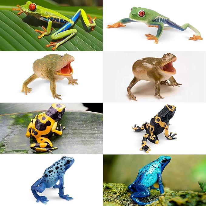 Toymany Frog Toy Figures, Plastic Rainforest Woodland Animals Toy Frogs Set with Realistic Poison Dart Frog, Cake Topper Party Favor Garden Flowerpot Plants Decor
