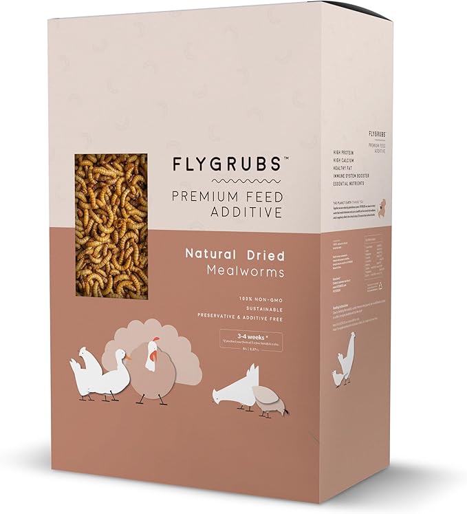 FLYGRUBS Superior to Dried Mealworms for Chickens (20 lb) 85X More Calcium Non-GMO Chicken Feed Additive & Molting Supplement - BSFL Treats for Hens, Ducks, Turkeys, Wild Birds, Turtles, Quails