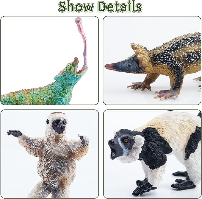 Toymany 12PCS Madagascar Animal Figurines Set, Realistic Lemur Jungle Animal Toys Set Includes Chameleon, Tortoise,Gecko,Fossa,Sifaka -Educational Forest Animals Figure Toy Collection for Kids Adults