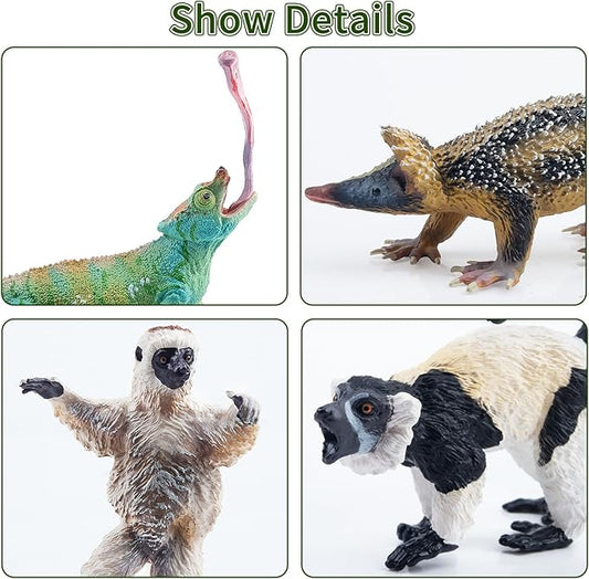 Toymany 12PCS Madagascar Animal Figurines Set, Realistic Lemur Jungle Animal Toys Set Includes Chameleon, Tortoise,Gecko,Fossa,Sifaka -Educational Forest Animals Figure Toy Collection for Kids Adults