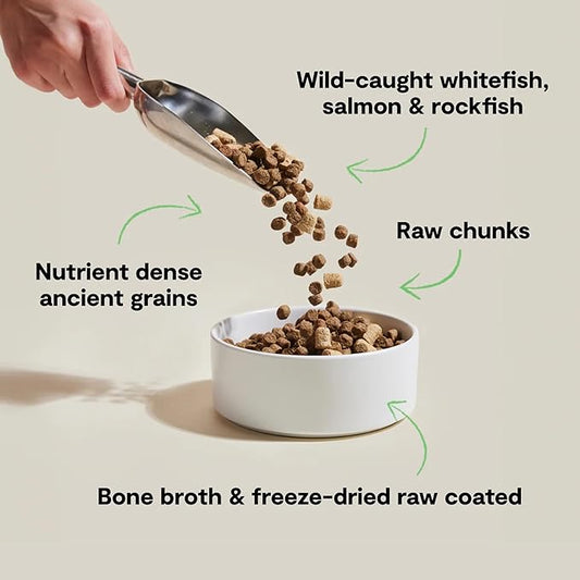 Open Farm, RawMix Dry Dog Food with Ancient Grains, Protein-Packed Kibble Coated in Bone Broth with Freeze Dried Raw Chunks, Salmon Whitefish & Rockfish, Wild Ocean Recipe, 20lb Bag