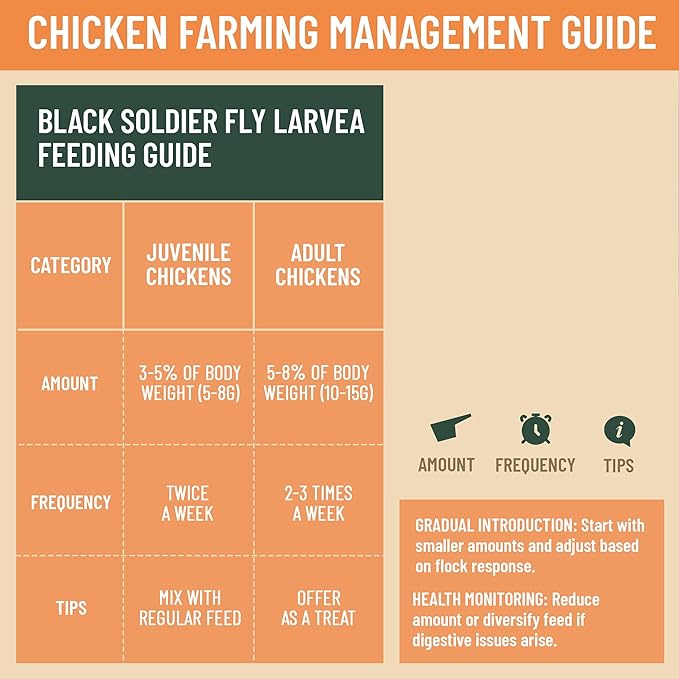 10LB Non-GMO Dried Black Soldier Fly Larvae for Chicken – 85X More Calcium Grubs Than Mealworms for Strong Eggshells & Healthy Growth - High Protein for Chickens, Birds, Ducks, Geese & Pets