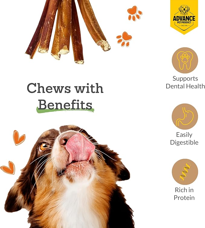 6 Inch Bully Sticks (Pack of 10) - 100% Beef, Odor Free Dog Chews for Aggressive Chewers - Long Lasting, Gluten-Free, Easy to Digest, High Protein & Rawhide Free Chews for Dogs