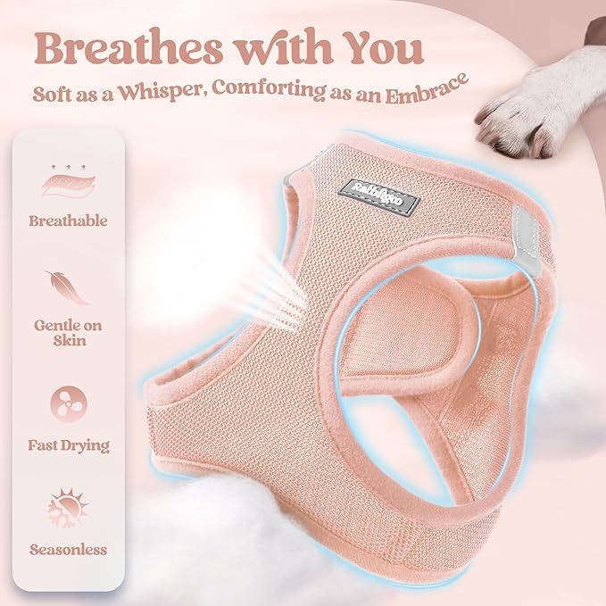 rabbitgoo Dog Harness Small Sized and Leash Set, Step in Soft Light Puppy Vest, Breathable Mesh Pet Harness, Reflective for Safe Outdoor Walking, Pink XXS