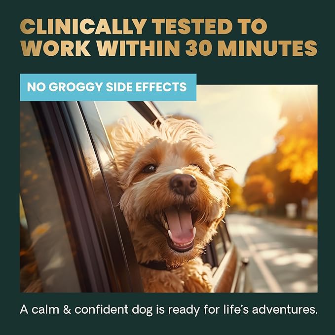 VETRISCIENCE Composure Calming Treats for Small Dogs and Puppies Anxiety, Separation Stress, Thunder and Barking - Yummy Chews Pets Love, 30 Chews