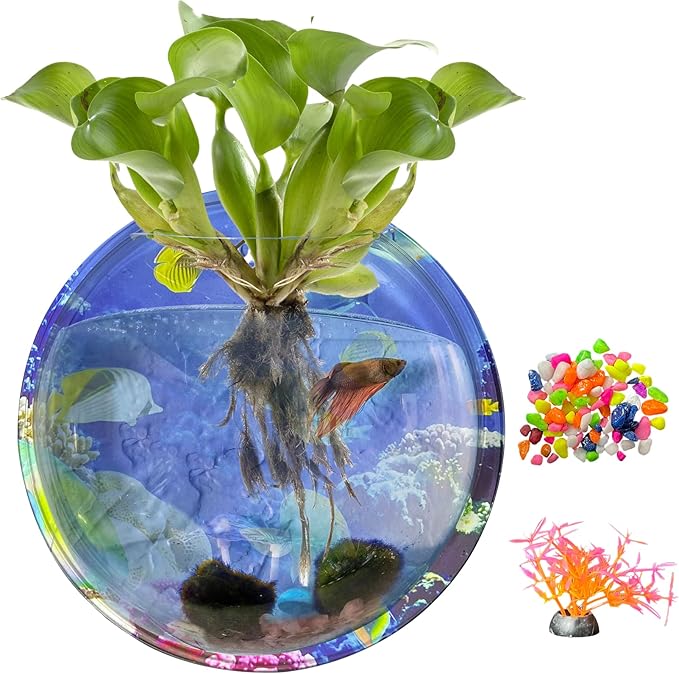 kathson Acrylic Wall Hanging Fish Bowl Wall Mounted Fish Tank Planter Fish Bubble Hanging Aquarium Hydroponic Plant Pot Betta Fish Tank Bowl for Home Decor Pot Decoration Planter (9.25in)