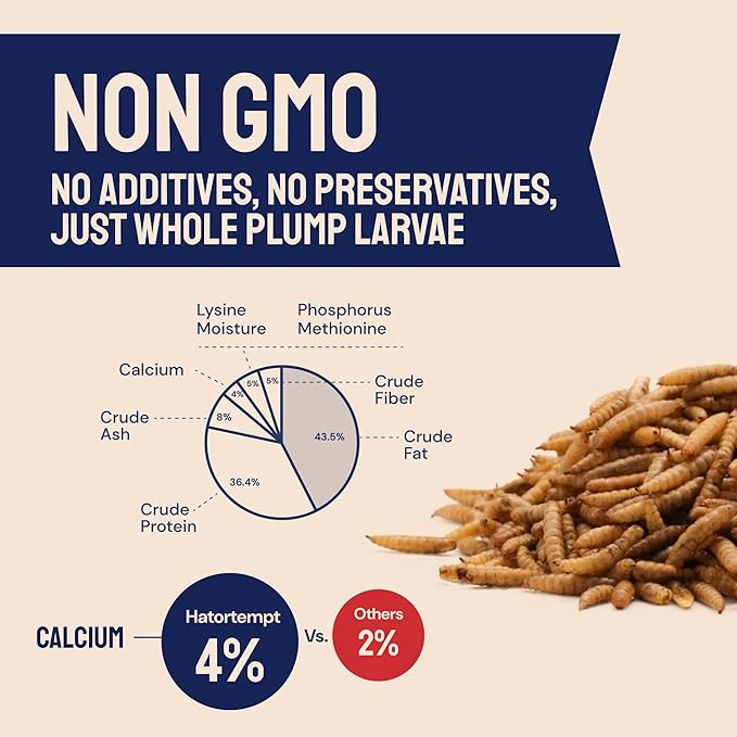 Chicken Feed & Treats - 10 Lb Non-GMO Bulk Larvae & Grubs - High-Protein Food for Laying Hens & Poultry - Grubs & Worms for Chickens & Bluebird Food - Calcium-Rich Supplement