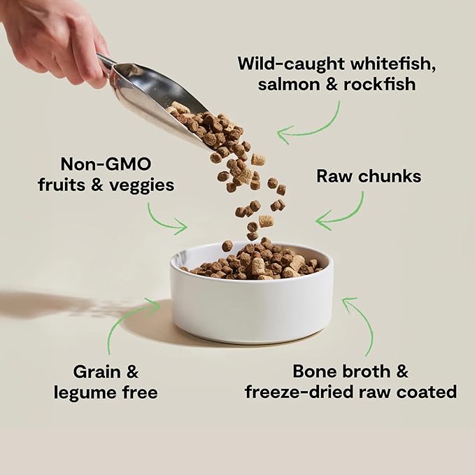 Open Farm, RawMix Dry Cat Food, Protein-Packed Kibble Coated in Bone Broth with Freeze Dried Raw Chunks, Formulated for Kittens, Chicken with Turkey & Wild-Caugh Salmon Recipe for Kittens, 2.25lb Bag