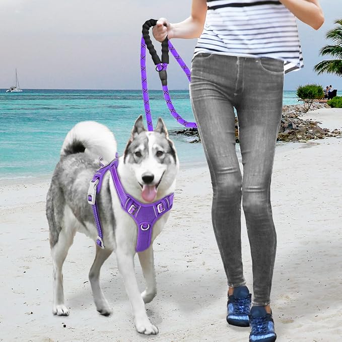 BARKBAY No Pull Dog Harness Large Reflective Dog Harness with Front Clip and Easy Control Handle for Walking Training Running with ID tag Pocket(Purple,XL)