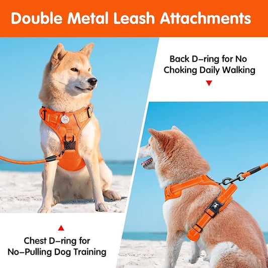 PoyPet No Pull Dog Harness and 5 Feet Leash Set, Release on Neck Reflective Adjustable Pet Vest, Front & Back 2 D-Ring and Soft Padded Pet Harness with Handle for Small to Large Dogs(Orange,L)