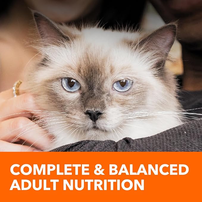 IAMS Proactive Health Long Hair Care Adult Dry Cat Food with Real Chicken & Salmon, 3 lb. Bag