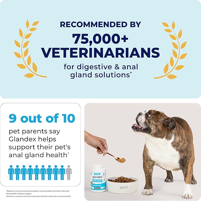 Vetnique Glandex Dog Fiber Supplement Powder for Anal Glands with Pumpkin, Digestive Enzymes & Probiotics - Vet Recommended (Regular or Advanced Strength) - Boot The Scoot (5.5 oz, Vegan Salmon)
