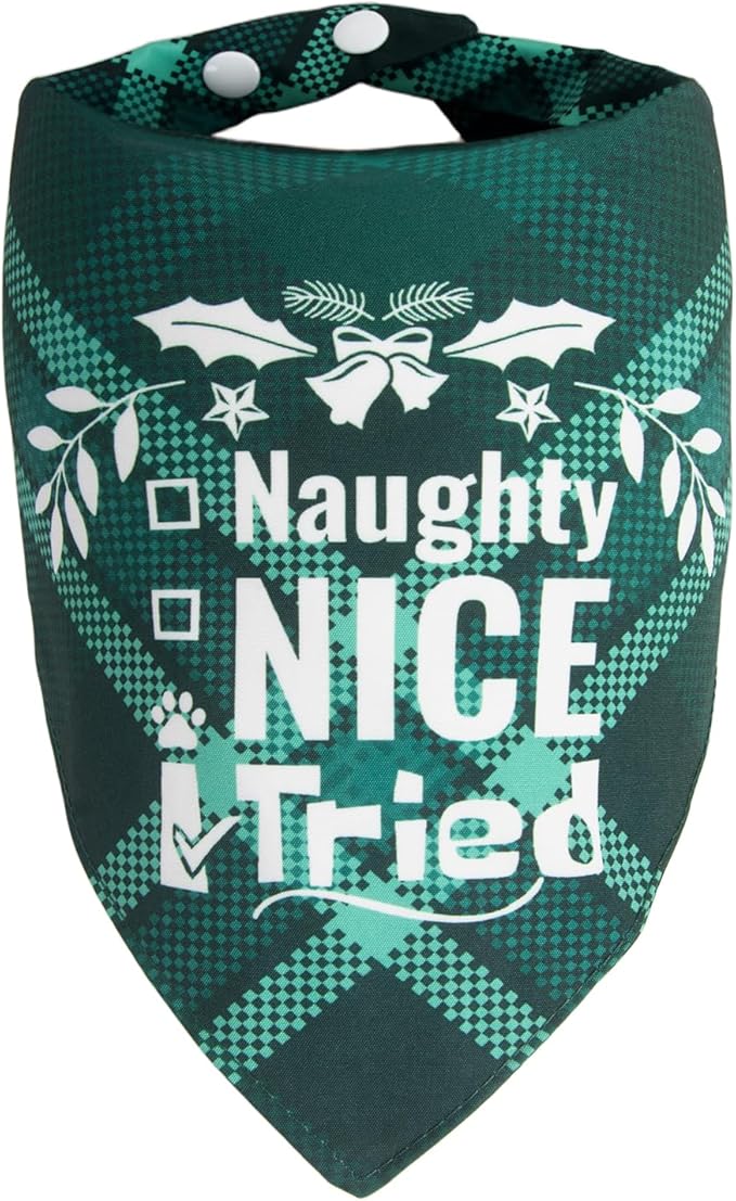 Christmas Dog Bandanas Pets Funny Holiday Costume Gift Xmas Stocking Stuffers - Naughty Nice I Tried, Green Plaid, Medium & Large Breed, 30-75lbs