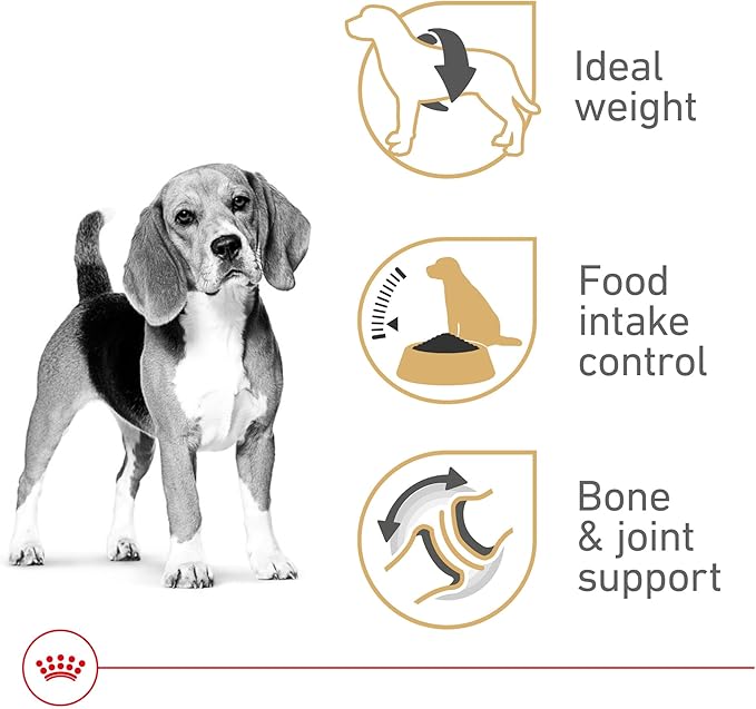 Royal Canin Beagle Adult Dry Dog Food, 30 lb bag