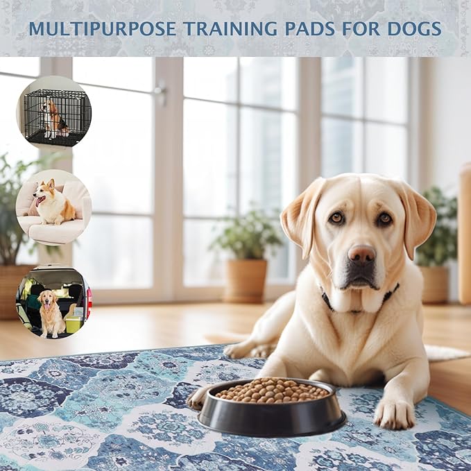 IEUUMLER Washable Pee Pads for Dogs, 2 Pack Reusable Pee Pads for Dogs Non-Slip Grip, Super Absorbent Waterproof Puppy Pads for Potty Training, Playpen, Crate, Whelping Box EU011 (Blue,36" x 24")
