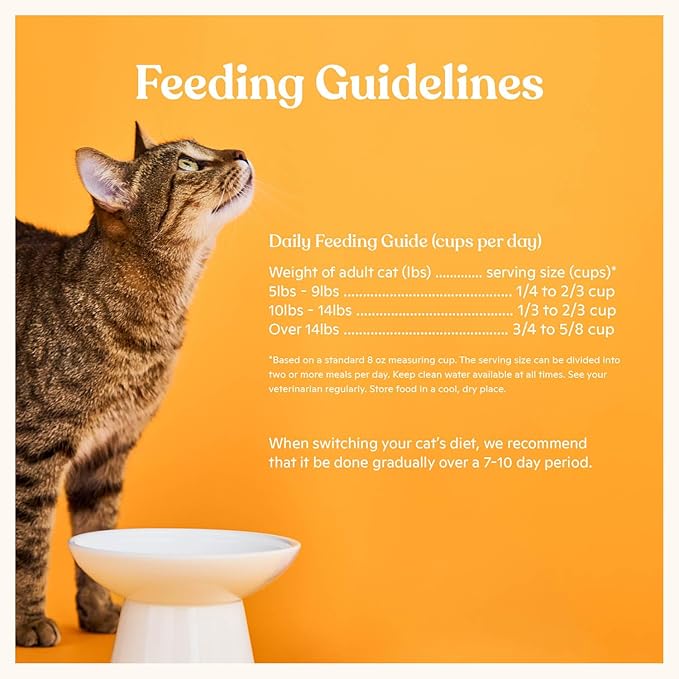 Made by Nacho Dry Cat Kibble 4lb Bag, High Protein Premium Cat Food with Freeze Dried Pieces, Sustainably-Caught Salmon, Whitefish & Pumpkin, Limited Ingredients, Single Bag