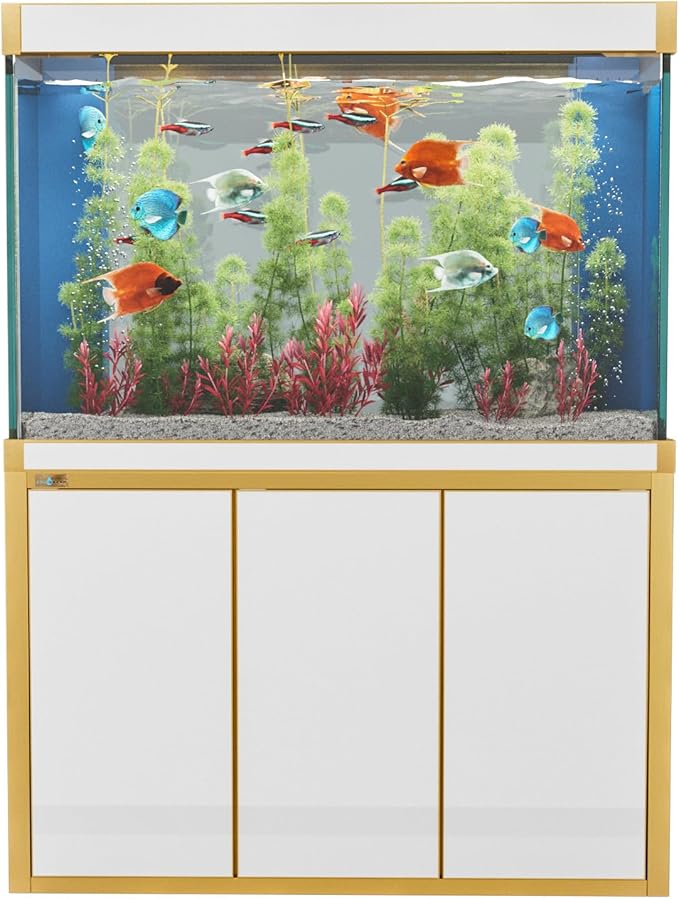135 Gallon Aquarium Fish Tank with Upright Fishtank Stand Water Pump Freshwater Filter LED Bundle and Straight Corners Clear Glass - White with Gold Trims