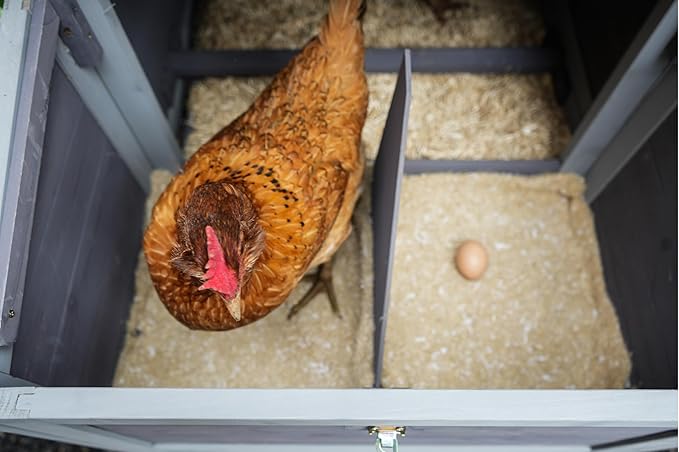 All Walks 70L Coop Combo Hemp Pet Bedding & Chicken Nesting Mats - 100% Natural Hemp Small Animal Bedding and Cushioned Pads for Hen Nesting Box - Chicken Coop Accessories for Laying Eggs - USA Made