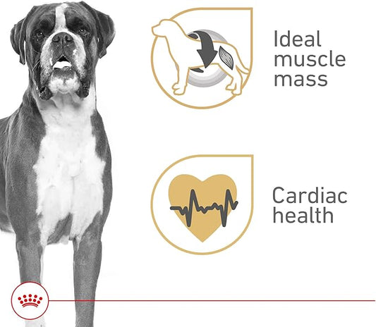Royal Canin Breed Health Nutrition Boxer Adult Loaf in Sauce Dog Food, 13.5 oz (Pack of 12)