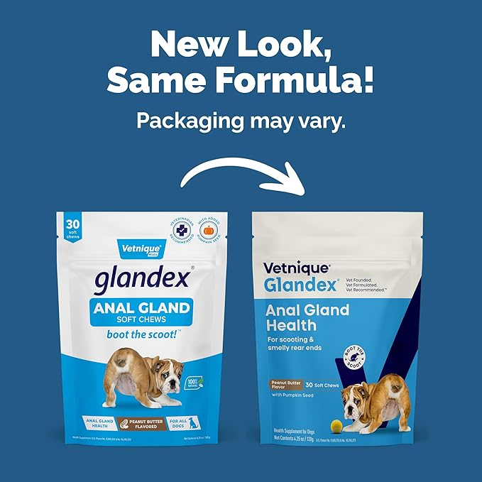 Vetnique Labs Glandex Anal Gland Soft Chew Treats with Pumpkin for Dogs Digestive Enzymes, Probiotics Fiber Supplement for Dogs Boot The Scoot (Peanut Butter Chews, 30 Count)