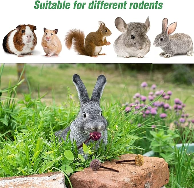 Rabbit Chew Toys for Teeth, Natural Wood Sticks Timothy Grass Chew Bunny Treat Toys for Rabbit Guinea Pig Hamster Chinchilla Gerbil