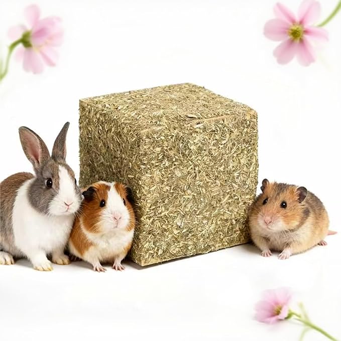 Abizoo Natural Rabbits Chew Toys Timothy Hay & Pine Wood Blocks for Guinea Pigs, Hamsters Small Animal Dental Care Digestion & Molar Health Vitamin-Enriched Safe Chewing Treats