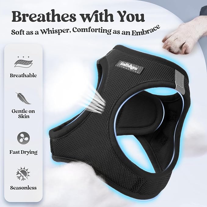 rabbitgoo Dog Harness Small Sized and Leash Set, Step in Soft Light Puppy Vest, Breathable Mesh Pet Harness, Reflective for Safe Easy Walking, Black XXS