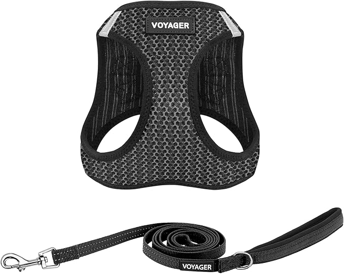 Voyager Step-in Air All Weather Mesh Harness and Reflective Dog 5 ft Leash Combo with Neoprene Handle, for Small, Medium and Large Breed Puppies by Best Pet Supplies - Gray (2-Tone), M