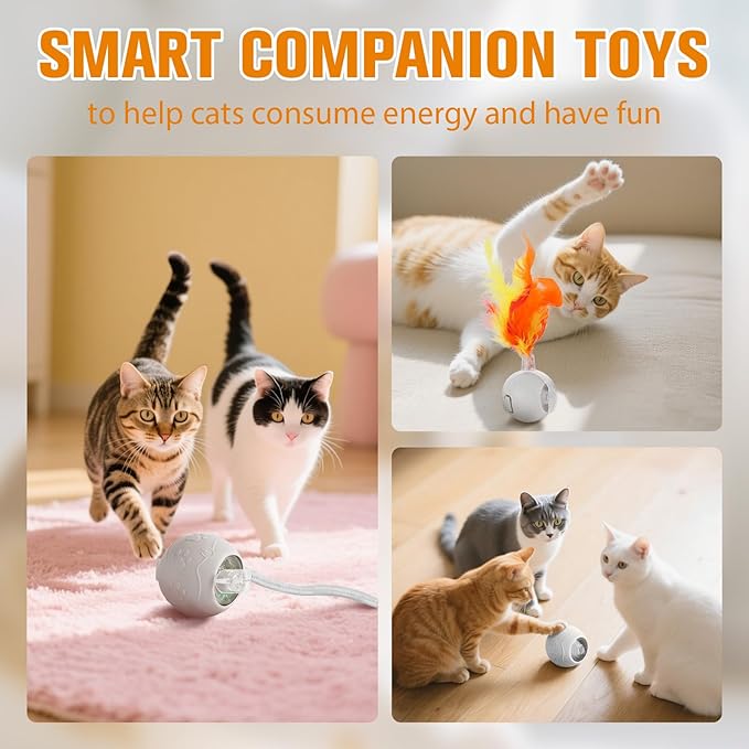 Interactive Cat Toys for Indoor,Automatic Moving Electric Rolling Pet Ball,Smart Teasing Toy for Kitty,3 Modes and USB Rechargeable,Tail 2.0 Cat Feather Toy Gray