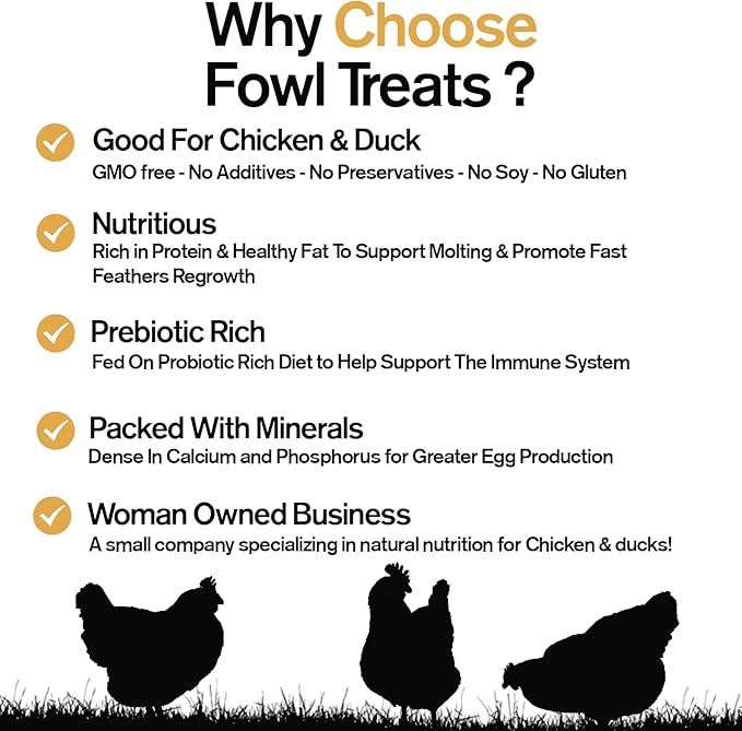 Naturally Fortified Treats – Protein Rich Supplement Suitable for Chickens, Hens and Ducks, Hand Mixed with USA Grown Ingredients – Equinox Blend – 32oz