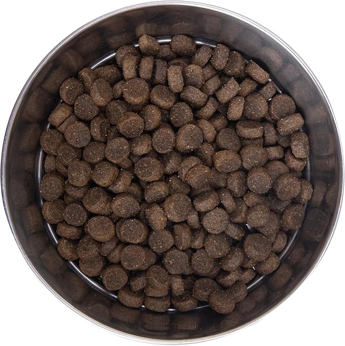Health Extension Lamb & Brown Rice Dry Dog Food (1 lb / 0.45 kg) - Nutritious Free-Range Lamb Formula with Probiotics, Antioxidants & Omega 3 for Dogs with Sensitive Digestion