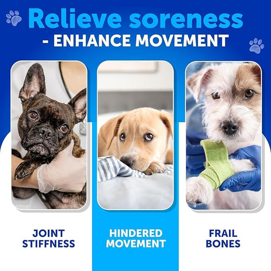 Glucosamine for Dogs Joint Pain Relief - Hemp Hip and Joint Supplement for Dogs - Chews with Chondroitin, MSM, Hemp Oil - Mobility Support - Canine Cartilage Health - 70 Soft Treats - Made in USA