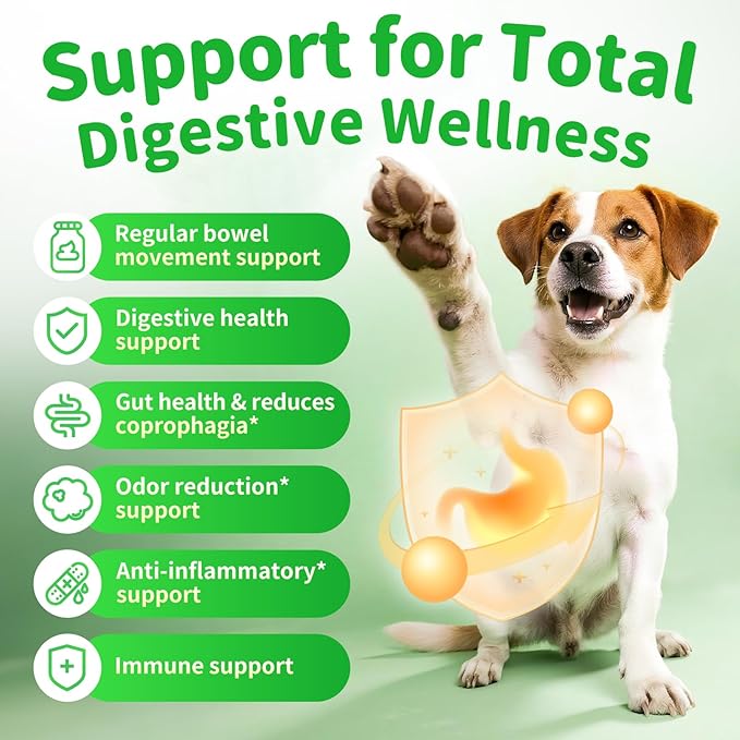 Dog Probiotics & Digestive Enzymes – Pumpkin Fiber Chews for Gut Health, Diarrhea & Upset Stomach Relief, Gas & Stool Support, Chicken Flavor Soft Chews – 90 Count