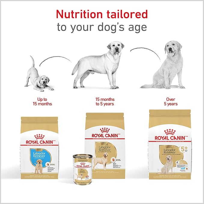 Royal Canin Breed Health Nutrition Labrador Retriever Puppy Dry Dog Food, 30 lb.