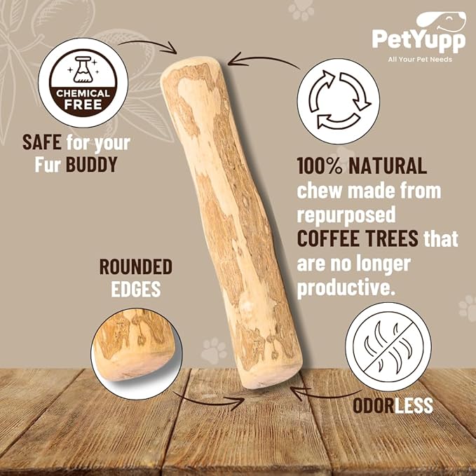 Natural Coffee Wood Dog Chew Small, 2 Count - Promotes Dental Health, Reduces Tartar & Chewing Exercise for Aggressive Chewers, Small, Medium & Large Dogs - Safe Chew Toy for Puppy