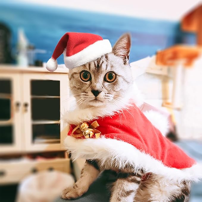 Cat Christmas Costume with Santa Hat and Cloak Cat Xmas Outfit for Kitten/Puppies/Home Christmas Decoration