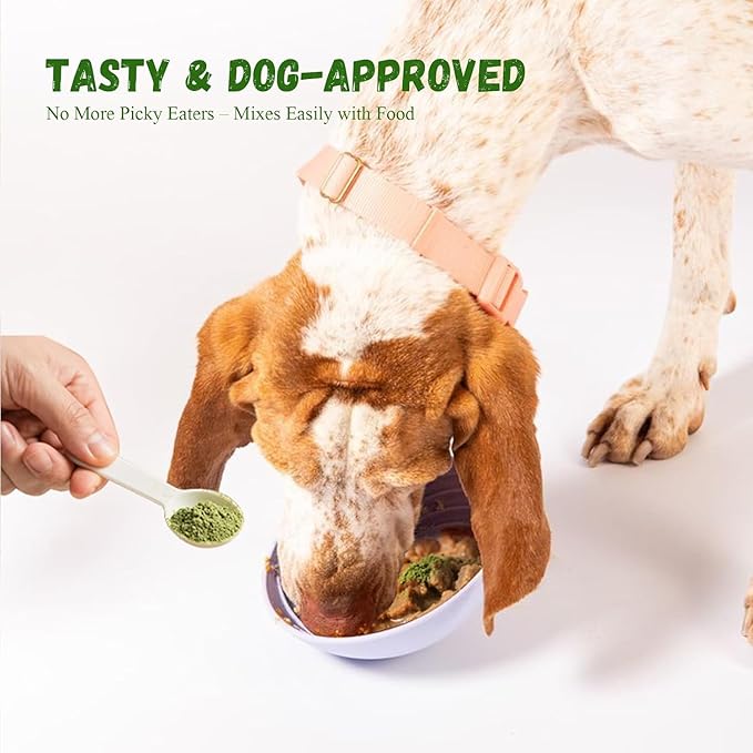 Dog Teeth Cleaning Powder, Dog Dental Powder for Teeth Cleaning and Dog Breath Fresh for Dogs with Probiotic & Tartar Remover, Plaque Off Dog Tooth Cleaning (80g)