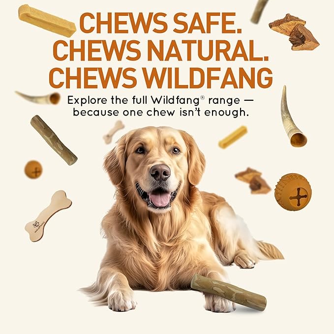 Wildfang® Coffee Wood Dog Chew, XS - Tough Chew Toys for Aggressive Chewers, Dog Teething Toys for Puppies, Training for Chewing Muscles, Coffee Tree Sticks for X-Small Dogs (Under 22 lbs)