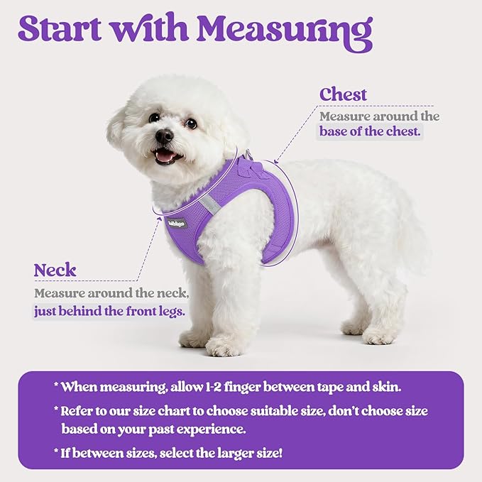 rabbitgoo Dog Harness Small Medium Sized and Leash Set, Step in Soft Light Puppy Vest, Breathable Mesh Pet Harness, Reflective for Safe Outdoor Walking, Purple L