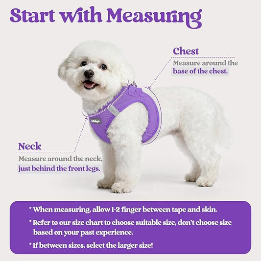 rabbitgoo Dog Harness Small Medium Sized and Leash Set, Step in Soft Light Puppy Vest, Breathable Mesh Pet Harness, Reflective for Safe Outdoor Walking, Purple L