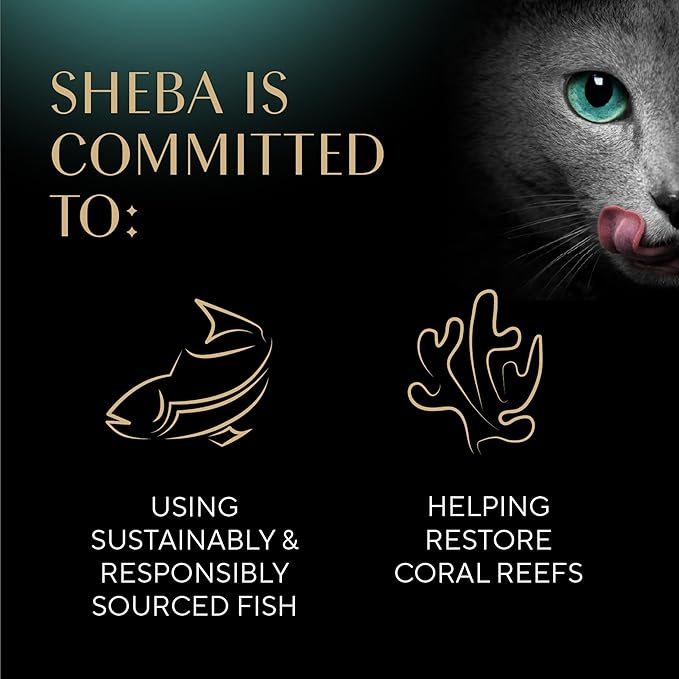 Sheba Perfect Portions Kitten Wet Cat Food Pate Salmon Entree, 2.6 oz. Twin-Pack Trays (24 Count, 48 Servings)