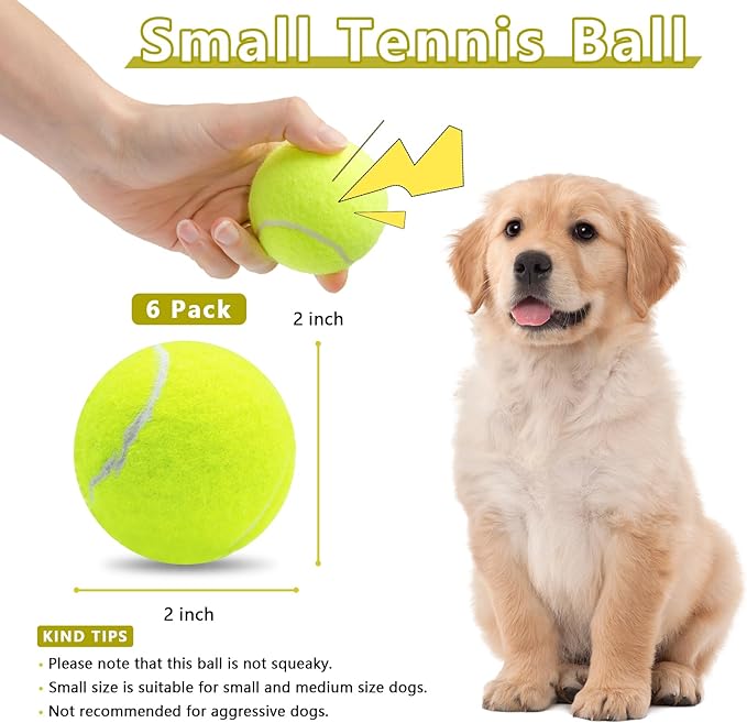 Magicorange 6 Pack Small Tennis Balls, 2 inch Squeaky Tennis Ball for Dogs,Colorful Easy Catching Squeaky Dog Balls with Mesh Bag for Easy Transport (Multicolor)