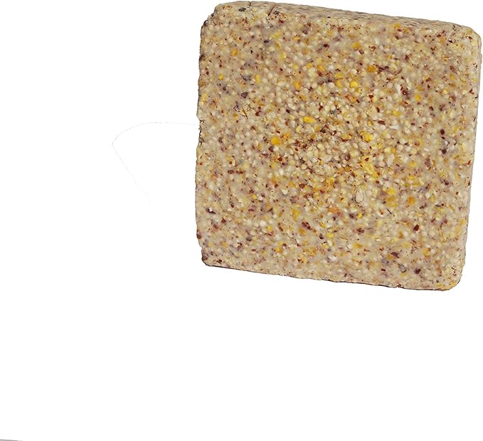 Suet Cake 15 Pack | 11 oz. Suet Cakes for Wild Birds| (Mega Mix)