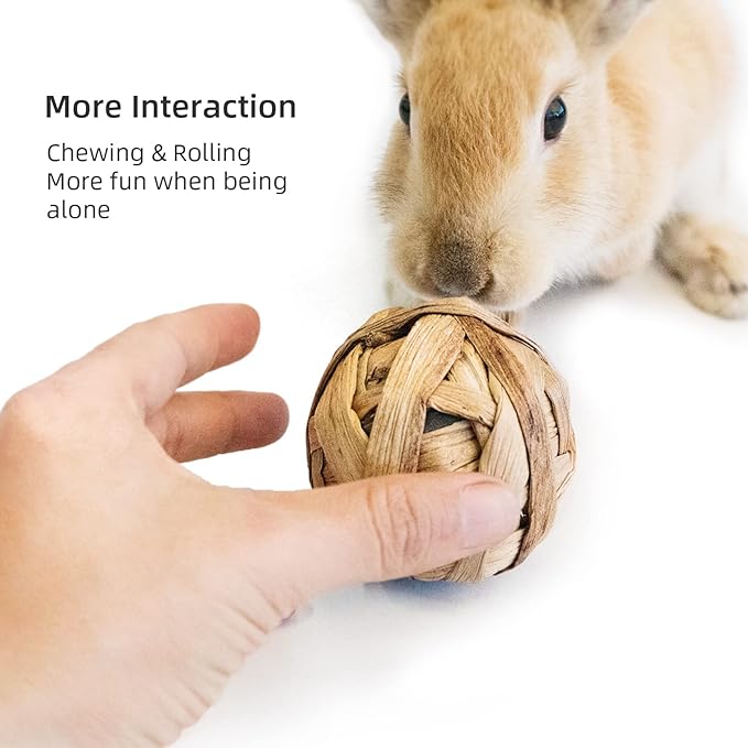andwe Small Animals Play & Activity Balls Rolling Chew Toys for Rabbits Guinea Pigs Chinchilla