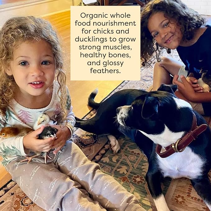 Scratch and Peck Feeds Whole Grain Starter Mash Chicken and Duck Feed - 25 lbs Bag - Corn-Free and Soy-Free - 20.5% Protein, Certified Organic and Non-GMO Project Verified Chicken Food