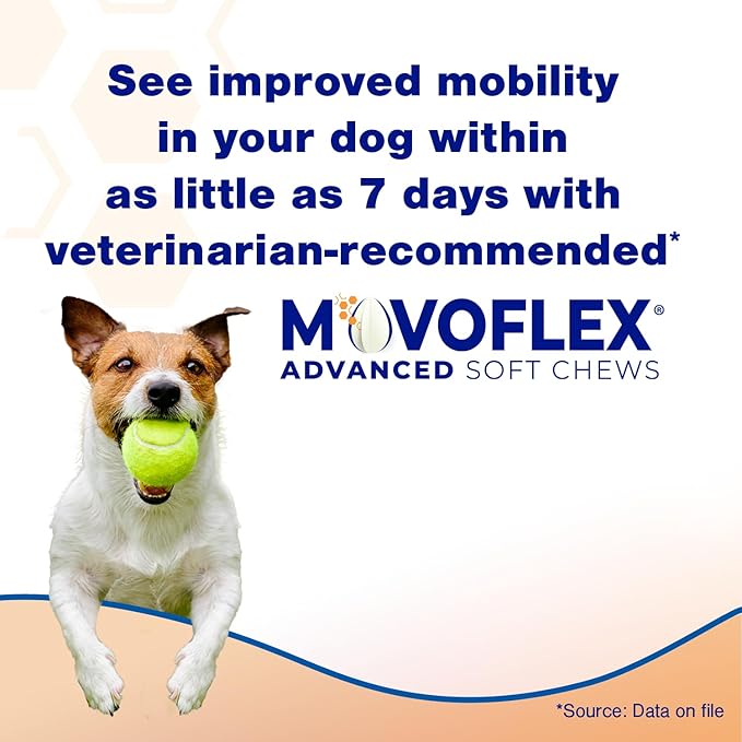 Advanced Soft Chews Hip and Joint Support Supplement for Small Dogs 120 Count by Virbac