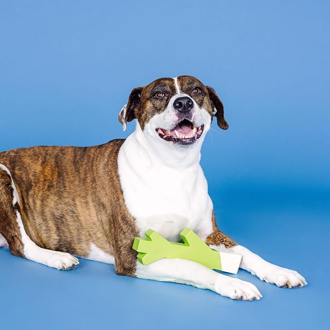 Fringe Studio "Stick with ME Lime/White Rubber Dog Toy, Pet Shop Collection (518034)