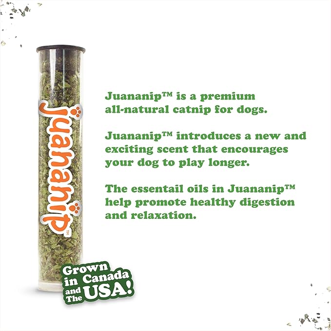 Doggijuana Tuffer Chewer Plush Dog Toy | Funny Dog Toy Plush with Juananip Catnip for Dogs | Calming Aid for Dogs | Interactive Squeaky Chew Toy for Play (Beer Mug Toy)