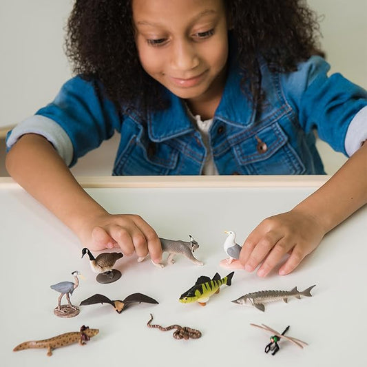 Safari Ltd. Great Lakes TOOB - Figurines of Mudpuppy, Dragonfly, Water Snake, Bat, Goose, Herring Gull, Blue Heron, Lynx, Sturgeon, Yellow Perch - Educational Toys for Boys, Girls & Kids Ages 3+